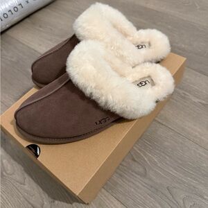 UGG scuffette slippers new without box